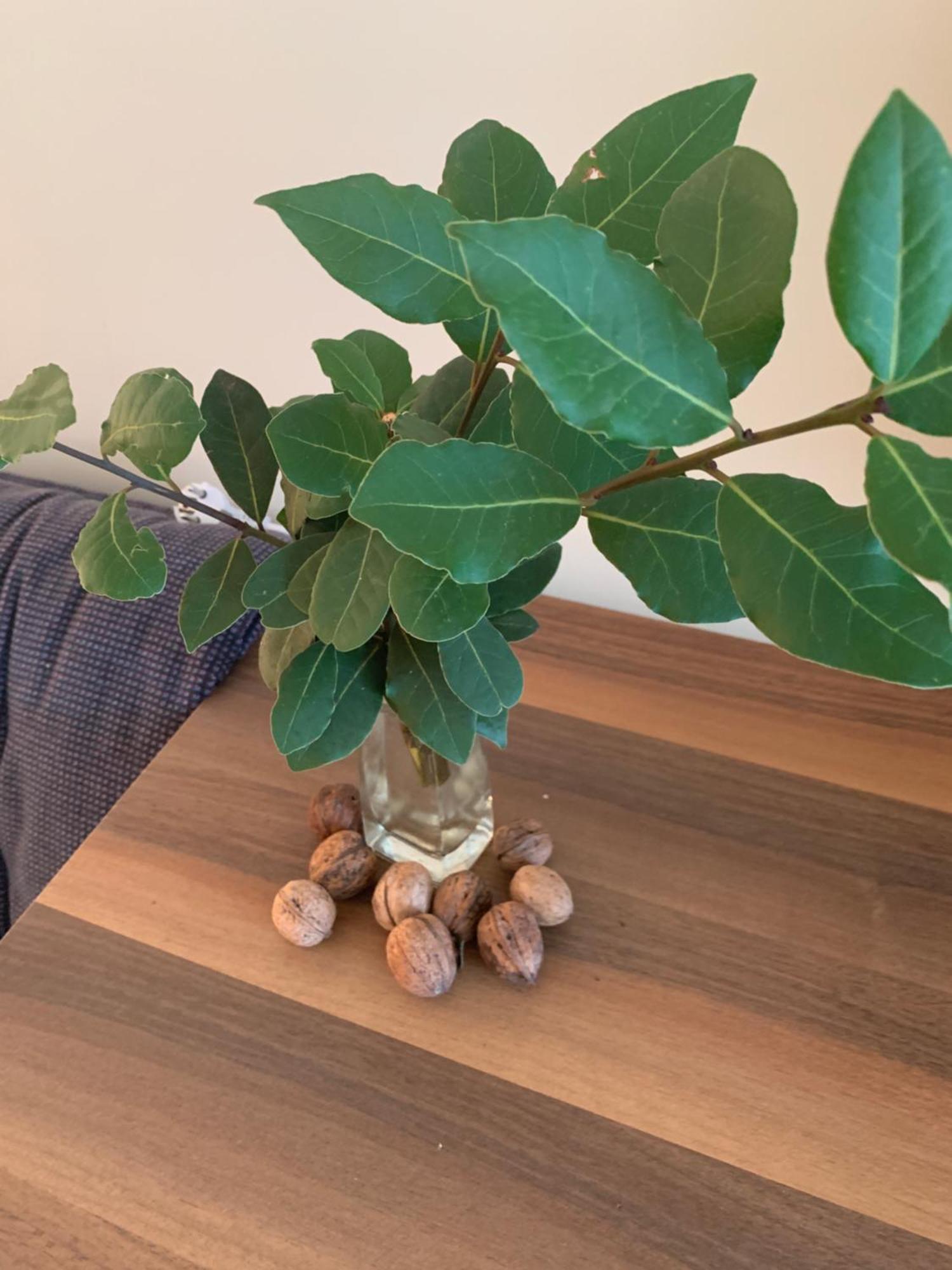 Villa Monte Boutique Apartments In Herceg Novi Ngoại thất bức ảnh