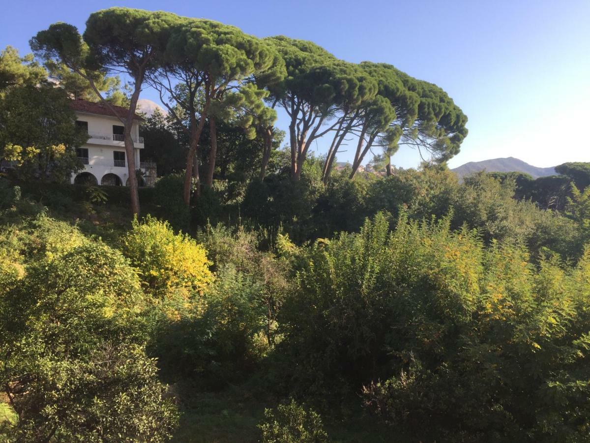 Villa Monte Boutique Apartments In Herceg Novi Ngoại thất bức ảnh